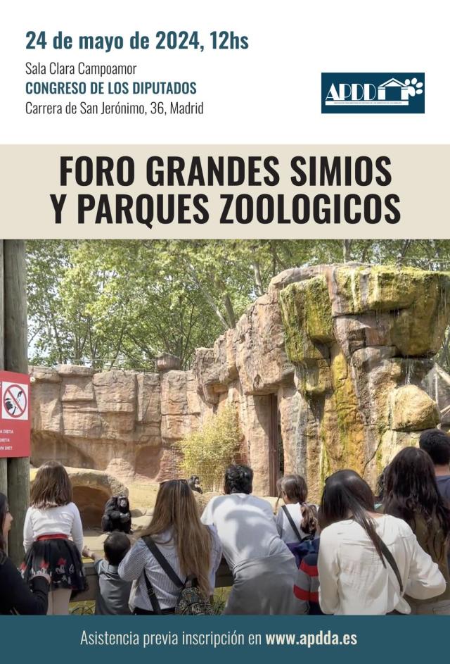 Cartel Foro grandes simios y zoos